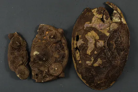 Archaeologists identified the finds as Viking-era brooches.&nbsp;
