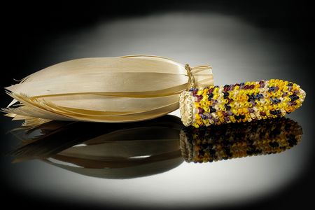 Theresa Secord (Penobscot, b. 1958). Ear of corn basket, 2003. Maine. 26/1694. By looking at  Thanksgiving in the context of living cultures, we can make the holiday a more meaningful part of teaching and learning, in school and at home.