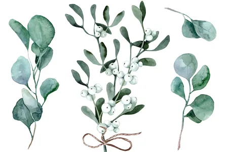 The mistletoe plant has white berries, not red like the fake ones have.