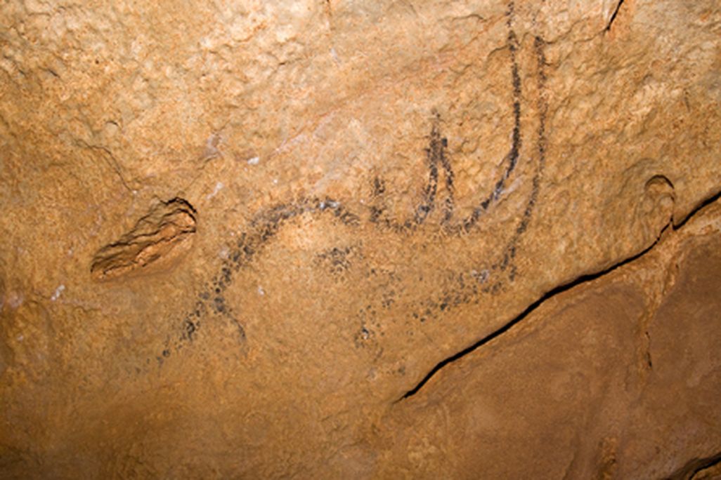 20110520102354rino.jpg