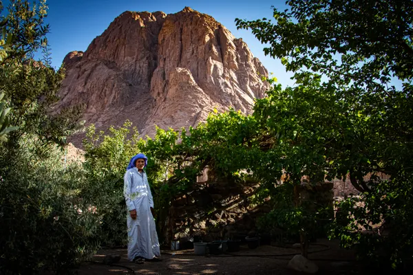 Guardian of the Mountain thumbnail