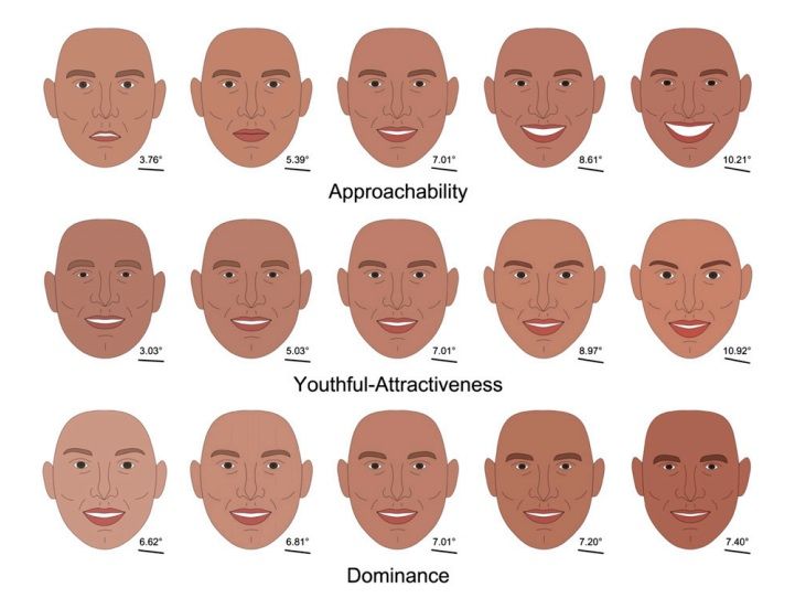 Computer-generated faces representing a spectrum of first impressions. Photo: Vernon et al., PNAS