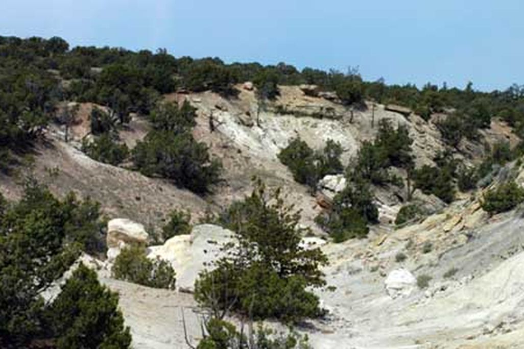 A view of the outcrop