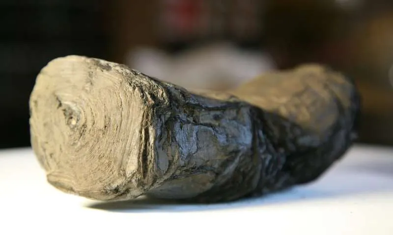 Charred Scroll