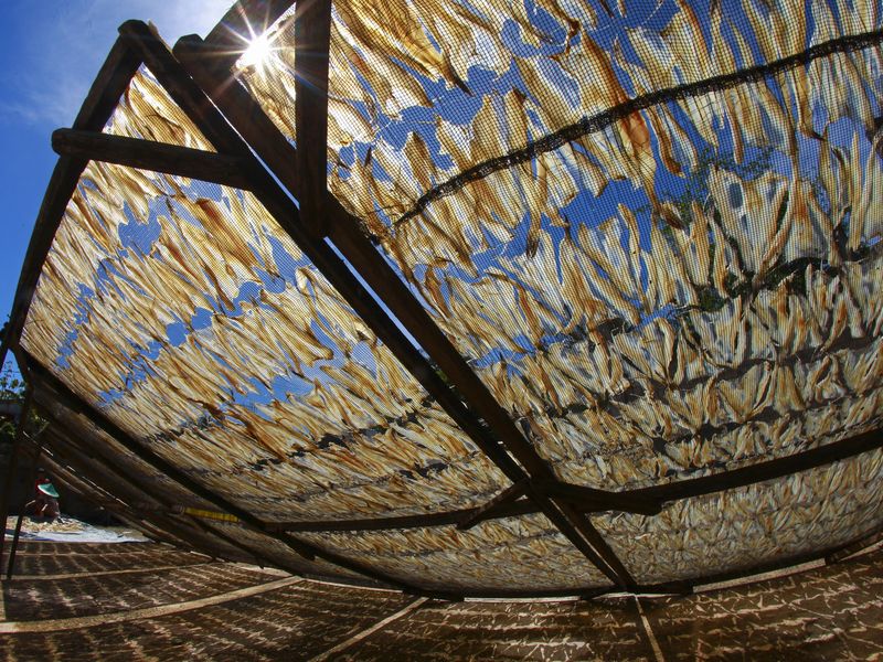 drying salted fish Smithsonian Photo Contest Smithsonian Magazine