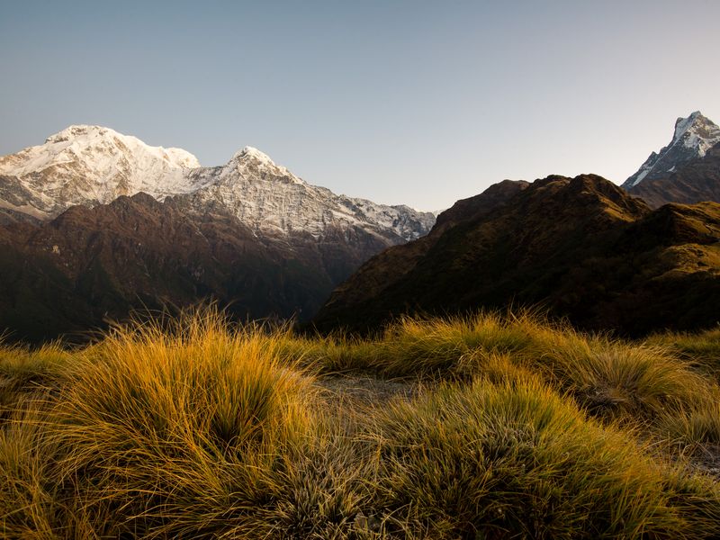 Mountain grass Smithsonian Photo Contest Smithsonian Magazine