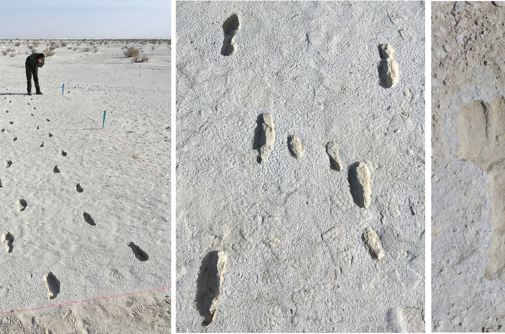 White Sands footprints