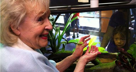 Actress Betty White holds a lemur leaf frog during her tour today at the National Zoo
