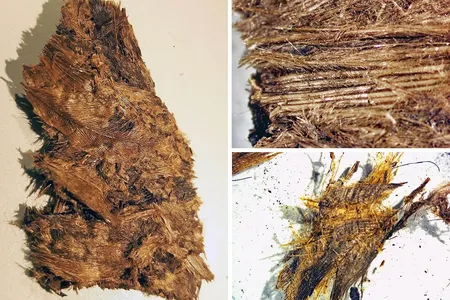 The warriors were buried with several layers of feather bedding.