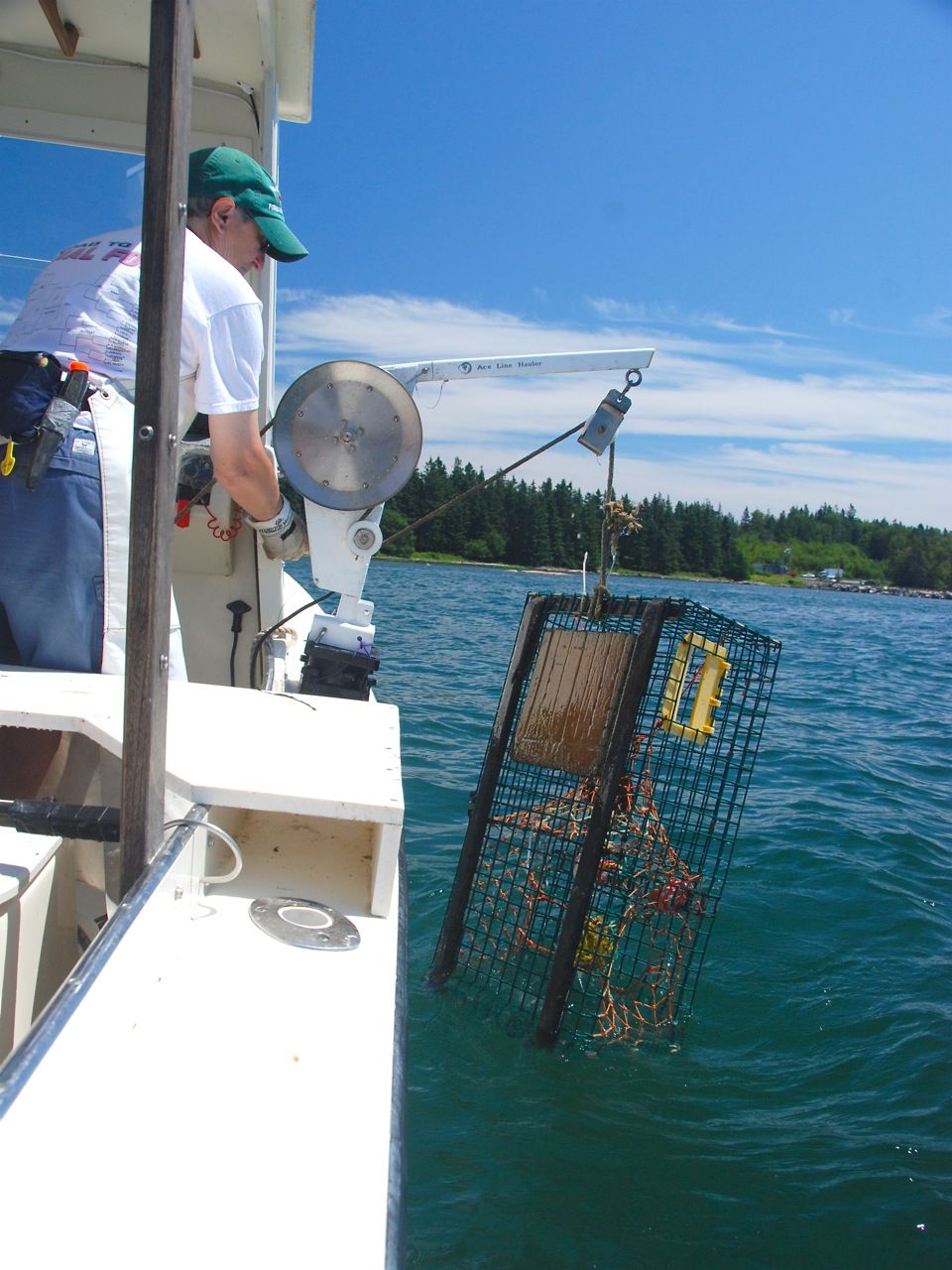 Watching a friend of mine hauling her lobster traps. Smithsonian