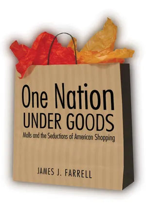 Preview thumbnail for One Nation Under Goods: Malls and the Seductions of American Shopping