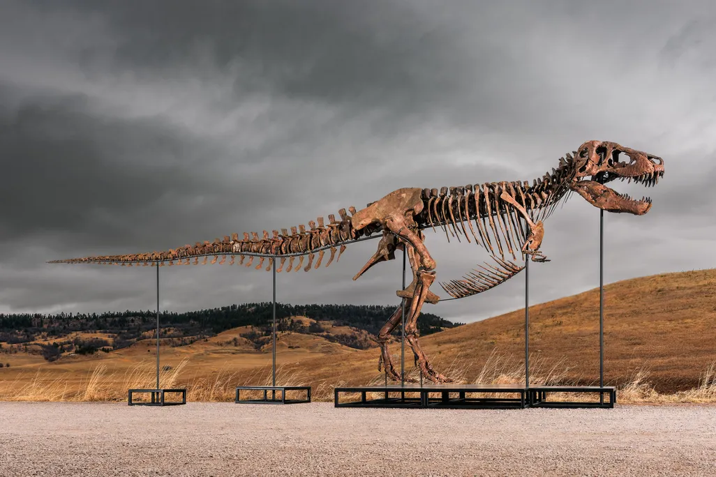 T. rex skeleton with a natural landscape in the background
