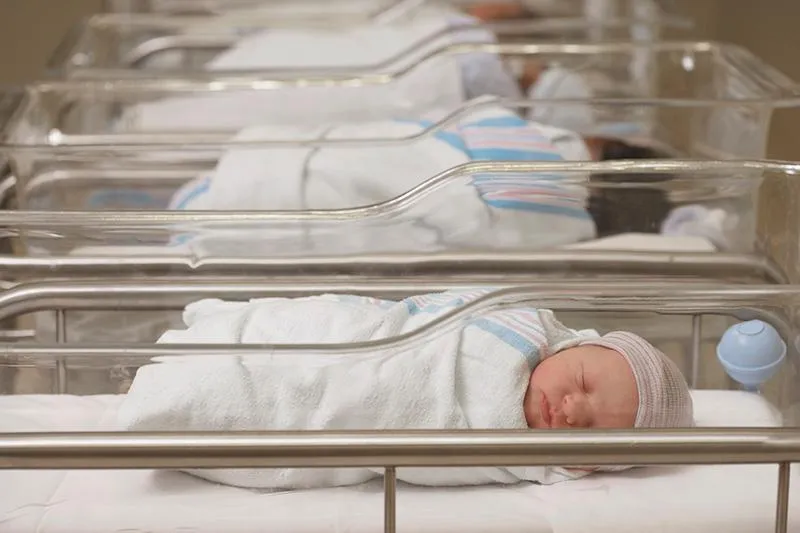 newborns.jpg