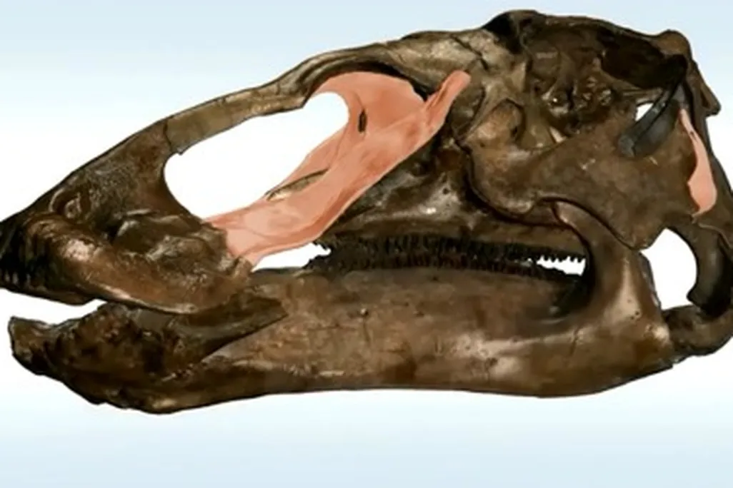 20120625031020edmontosaurus-thumb1.jpg