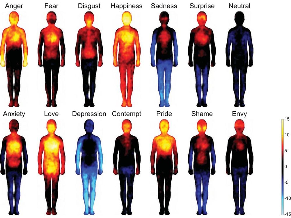 Bodily maps of emotion developed by the researchers.