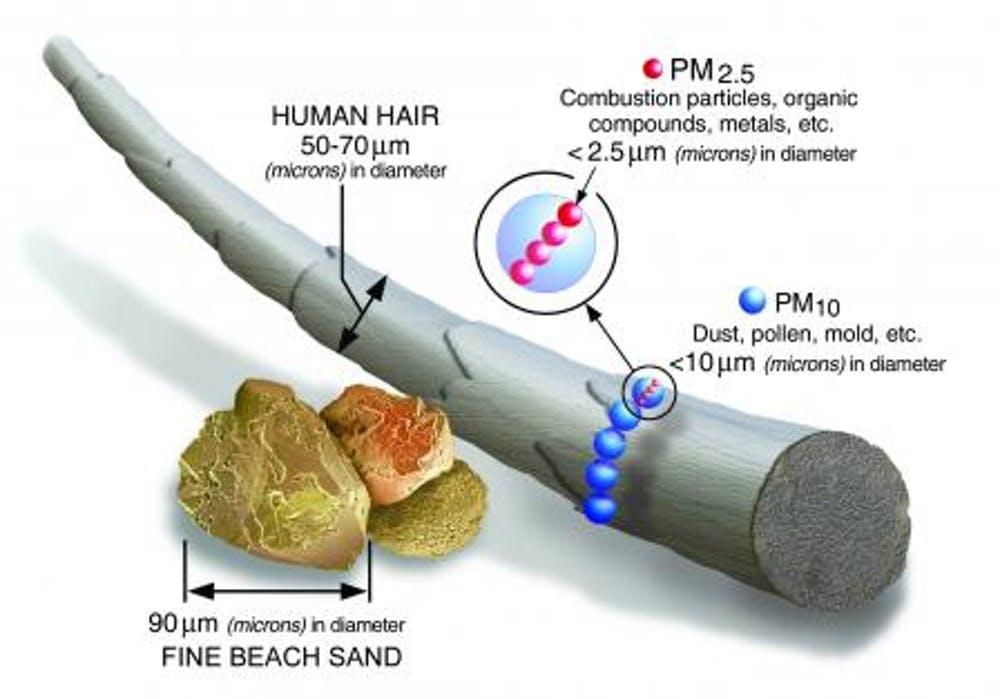 Fine particulates are much smaller than a human hair.