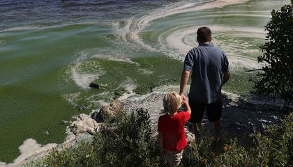 Florida’s Love-Hate Relationship With Phosphorus