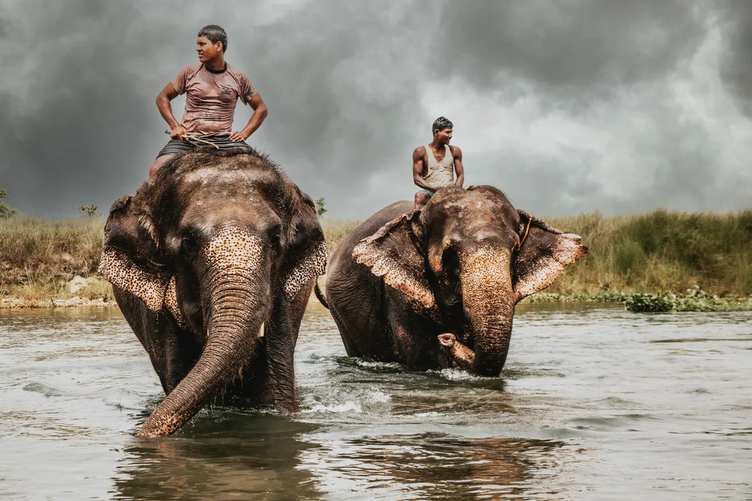 elephant handlers