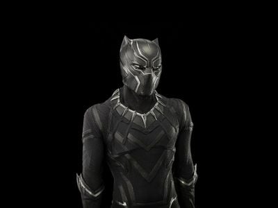 The costume worn by Chadwick Boseman&rsquo;s Black Panther in the 2016 film Captain America: Civil War is in the collection of the National Museum of African American History and Culture. The suit imbues him with powers similar to the abilities of the dark cats.