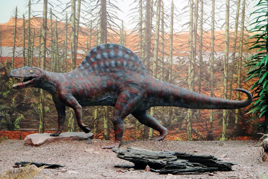 Ctenosauriscus