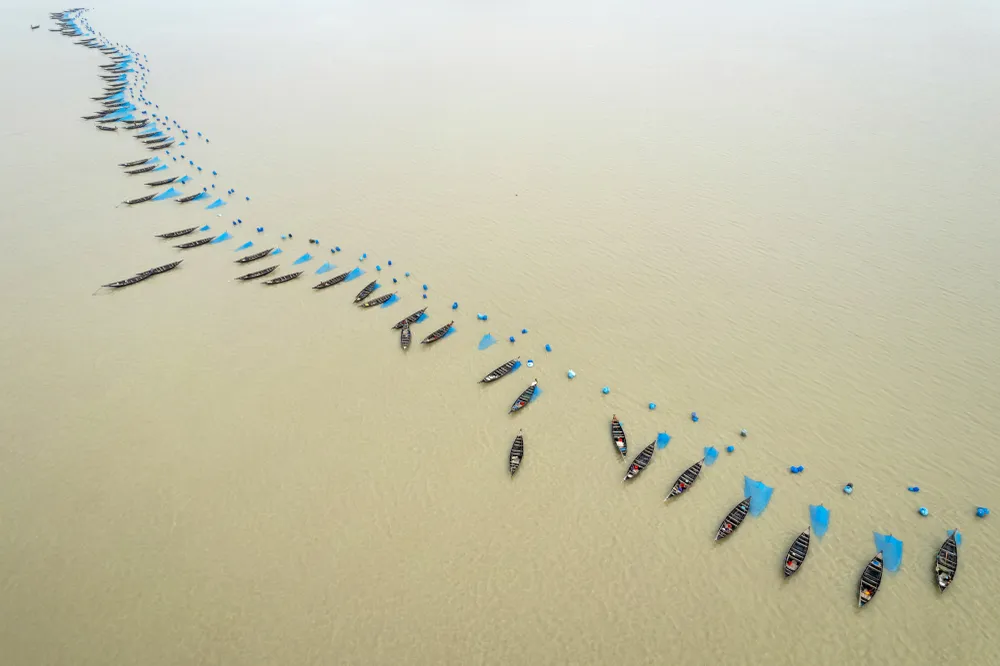 A fleet of boats casts its vibrant blue nets, creating a tapestry of traditional fishing. The fishermen communities of Sundarban which mainly rely on fishing for economic reasons are adjusting and thriving in the face of environmental changes, especially related to fisheries and rivers.