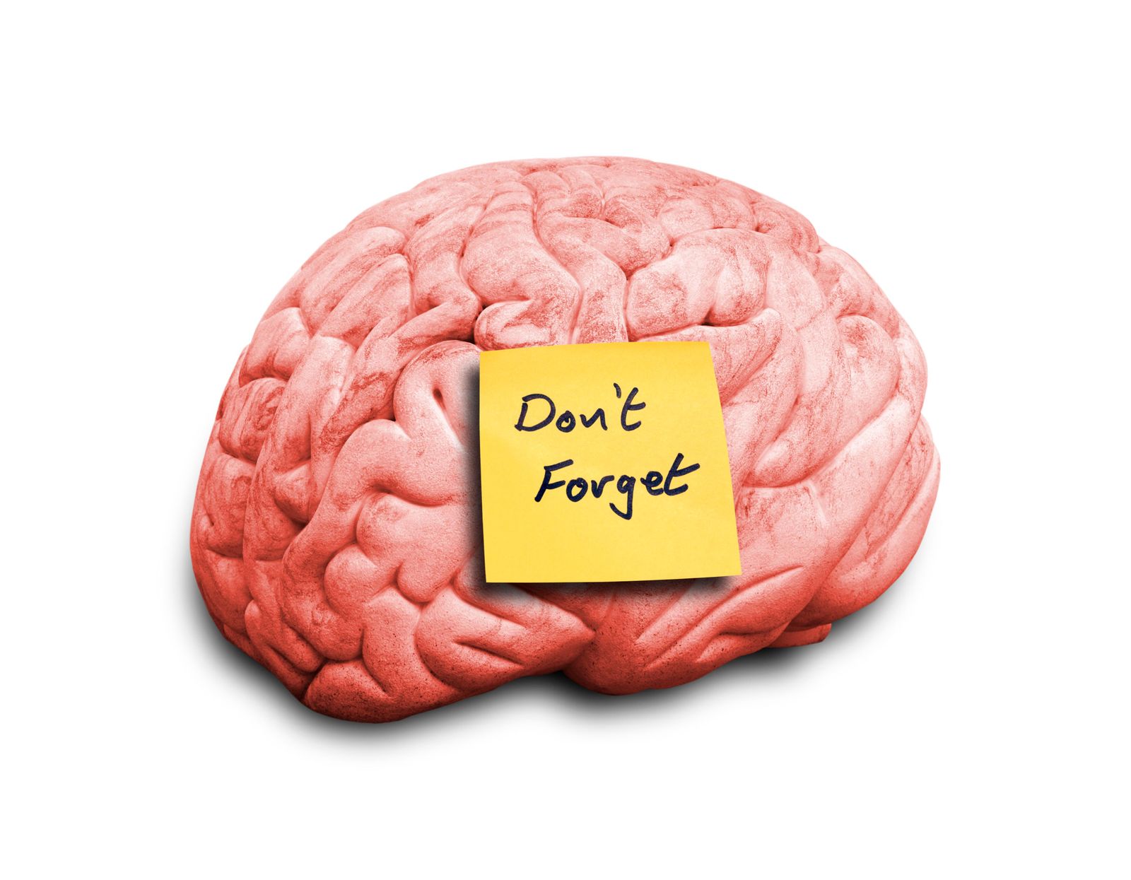 Digital Brain. Dementia and Sticky Notes. Sticky Notes for Dementia.