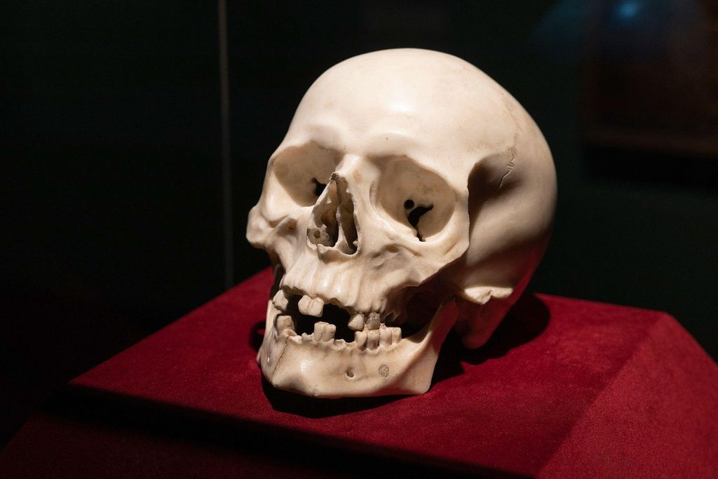 A marble skull sculpted by Bernini