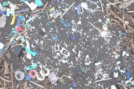 Plastic on a beach in St. Helena.