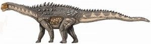 20110520083256Ampelosaurus-restoration-300x88.jpg