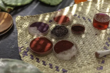 Dried cochineal insects &mdash; shown here in the center of the photo &mdash; can be processed to create several natural dyes such as carmine and cochineal extract. These products get their red hue from carminic acid, a chemical found within the insect.