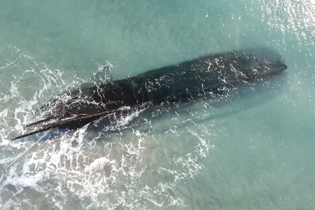 An aerial view of the 100-foot-long wreck taken on January 30