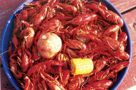 In Louisiana, crawfish—akin to miniature freshwater lobsters—are served in dishes or boiled whole.
