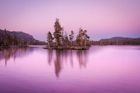 "Micro Island Isolation | Middle Velma Lake" by Christian Arballo