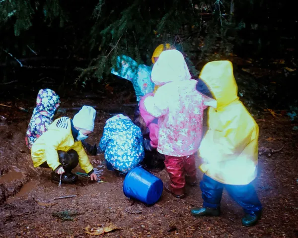 A Forest of Muddy Imagination thumbnail