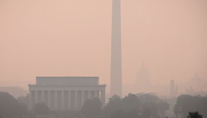 Is Wildfire Smoke Causing Birds to Tend to Empty Nests?