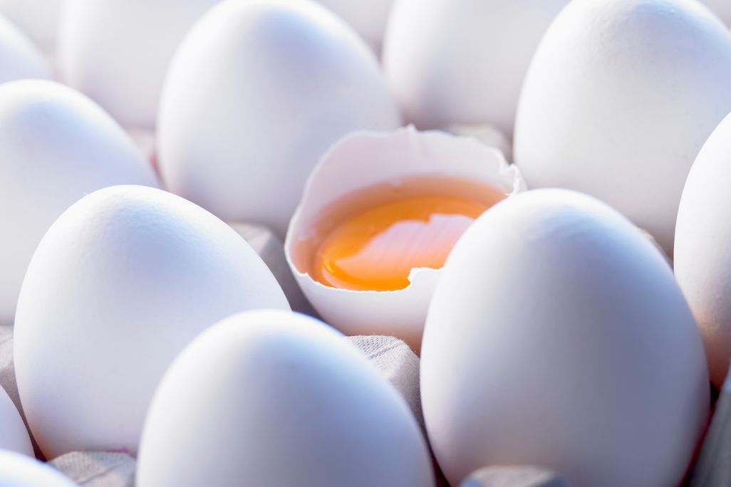 eggs