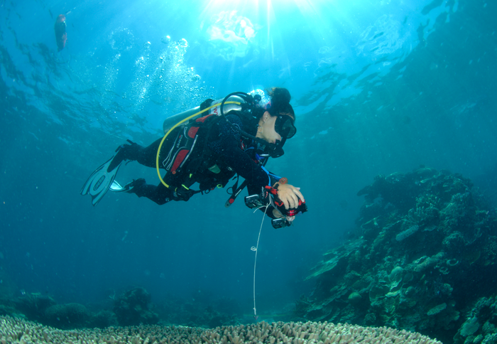 A scuba diver is seen holding a camera in in Far Northern Great Barrier Reef on Ashmore Bank