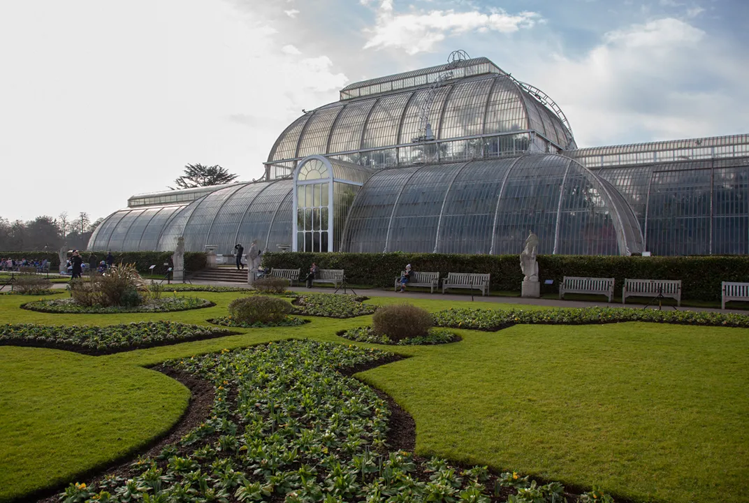 The Palm House at Kew