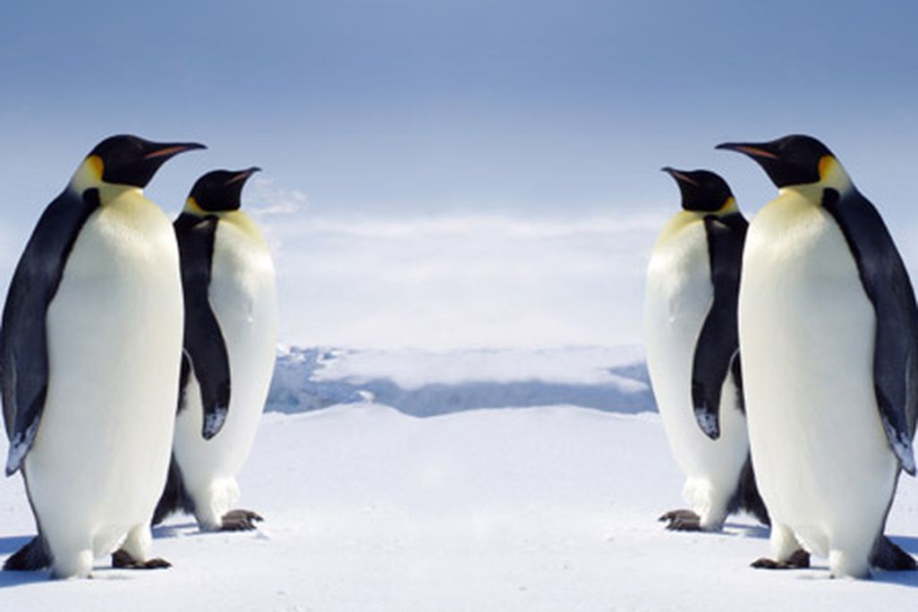 Antarctica