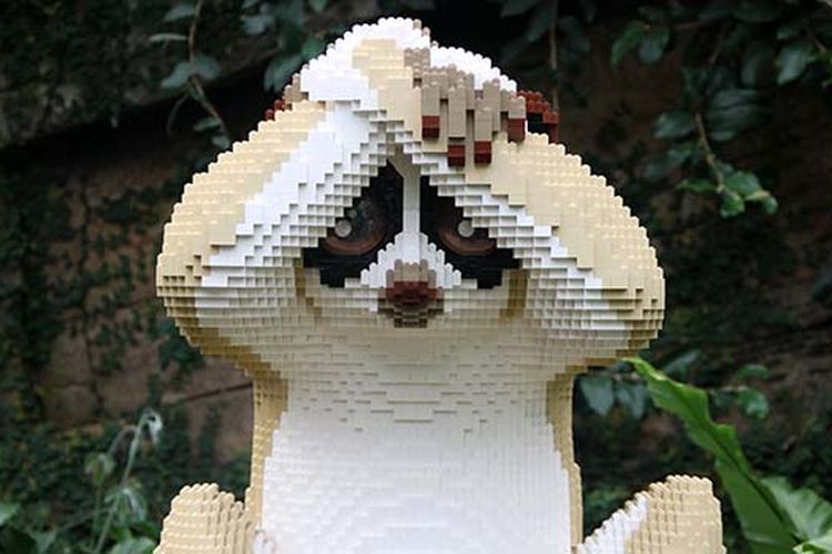 Slow loris Sean Kenney-mobile.jpg