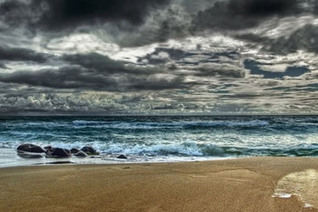 By 2100, the world’s oceans may be radically different habitats than they are today.