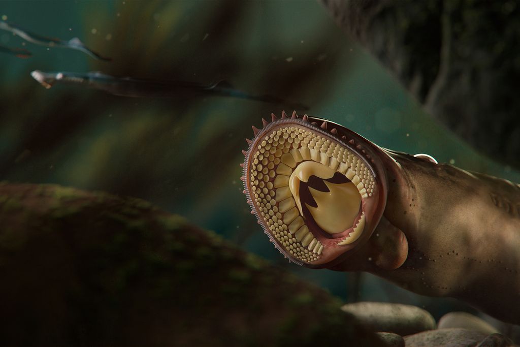 Artistic illustration of ancient lamprey