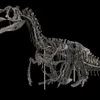 NMNH-Exhibits-DT-2017-00295 (1) (1).jpg