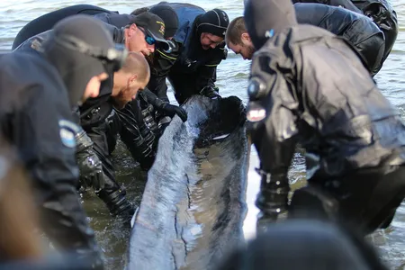 The boat most likely survived intact because it was constantly wet and shielded from sunlight at a depth of about 27 feet.