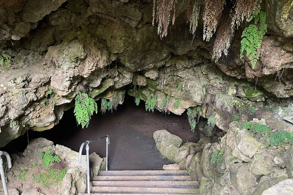 Auckland Cave Opening