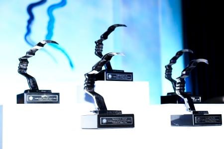 Portrait of a Nation award