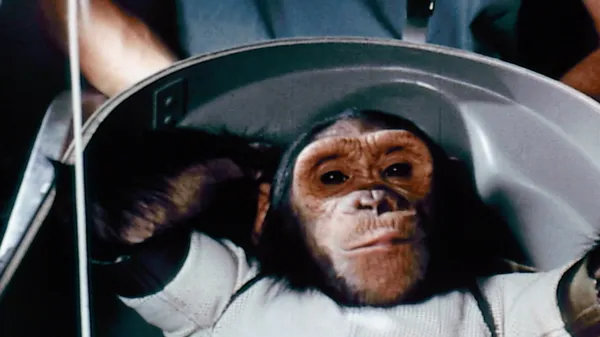 Preview thumbnail for NASA's First Chimp in Space