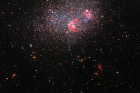 Data from the Hubble Space Telescope produced this new image of the galaxy UGC 8091.

