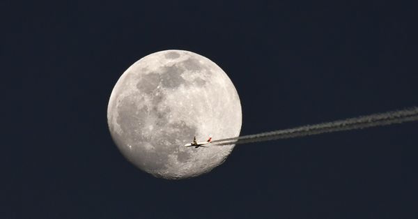 Fly Me To The Moon thumbnail