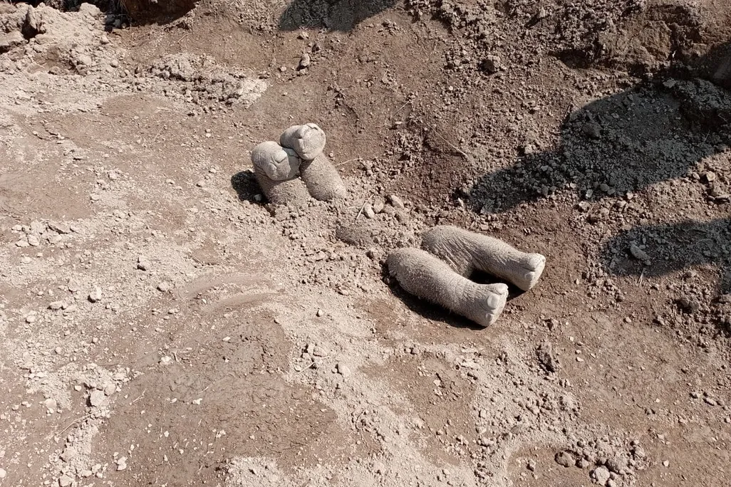 Elephant calf legs protruding from dirt